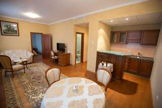 Гостиница Симбирск Ульяновск Apartment, Kitchenette-3